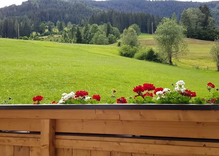 Bergpanorama * Flachau